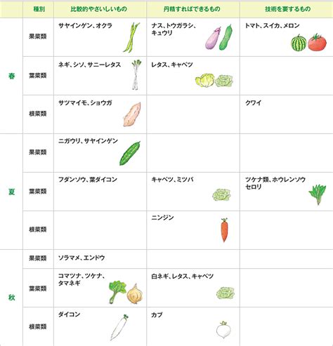 植物栽培方法|野菜の育て方一覧